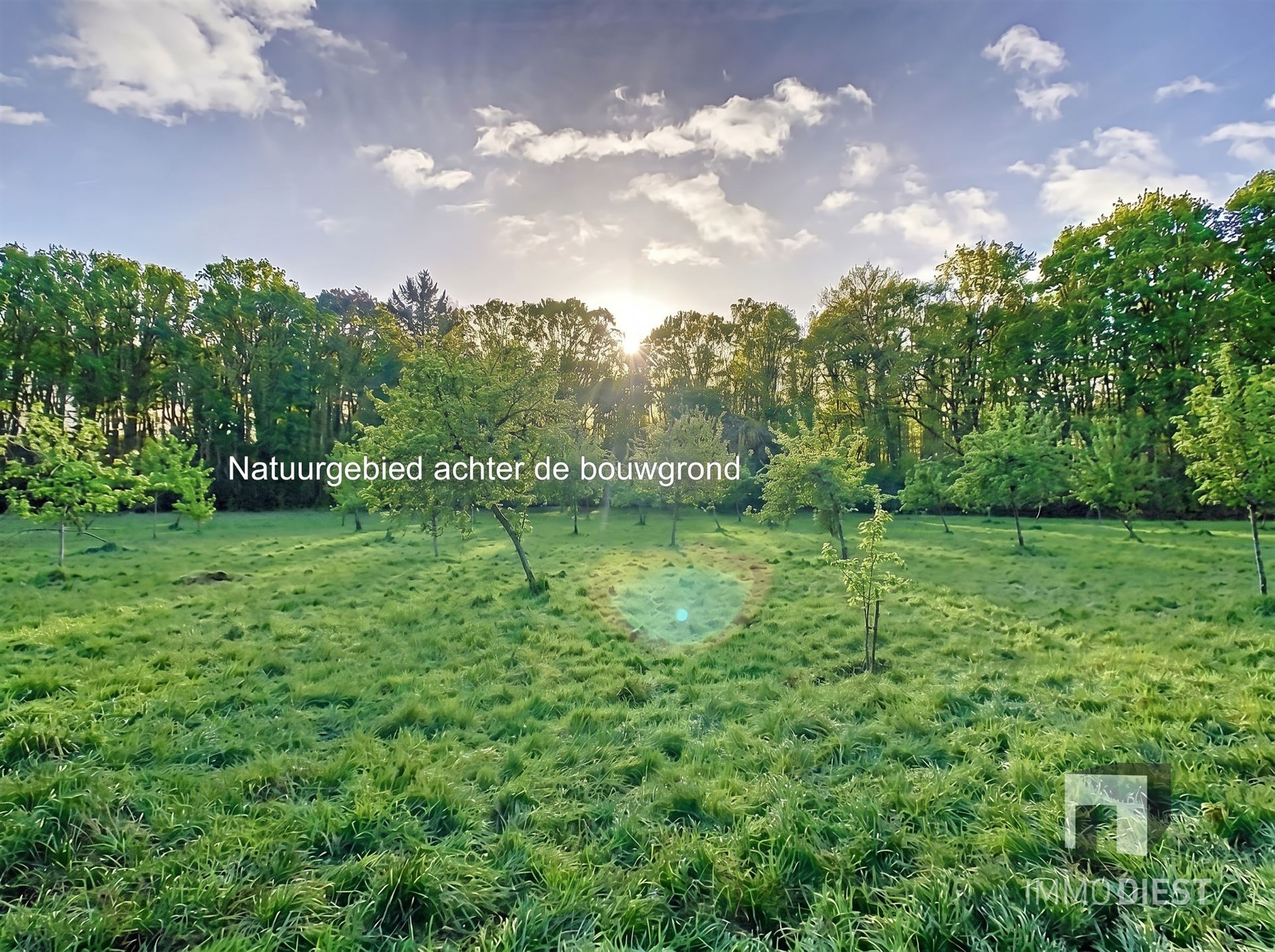 Residentiele bouwgrond - 21,25are - zuid gericht - foto 5