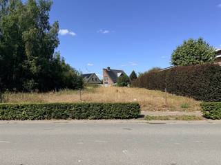 <p>Ontdek deze gunstig gelegen bouwgrond van <strong>800 m²</strong> op een centrale ligging in Meer (Hoogstraten). Het perceel bevindt zich <strong>kortbij het centrum van Meer</strong> en combineert rust en bereikbaarheid, met nabijheid van winkels, scholen en openbaar vervoer. Het perceel van <strong>16 meter breed</strong> en <strong>50 meter diep</strong> laat de bouw van een <strong>ruime vrijstaande bebouwing </strong>toe. Bovendien is de naastgelegen bouwgrond (nr. 19) ook te koop, ideaal voor mensen die een plek zoeken om met 2 gezinnen naast elkaar te wonen. De tuin is noordwestelijk georiënteerd, en is ook bereikbaar via de achtergelegen (doodlopende) straat. Hierdoor ontstaat er een vlotte doorgang voor bijvoorbeeld fietsen.</p><p>Voor de exacte bouwvoorschriften kunt u contact opnemen met ons kantoor.</p><p>Extra: <br />- Niet gelegen in mogelijks of overstromingsgevoelig gebied, niet gelegen in afgebakend overstromingsgebied of afgebakende oeverzone, niet gelegen in risicozone overstromingen (perceelscore A) <br />- Woongebieden met landelijk karakter, Gvg, Gmo, Vv, Gvkr<br />- Niet opgenomen in het maatregelenregister</p><p>Voor meer info ga naar www.coenenvastgoed.be of bel 03/375.82.92</p>