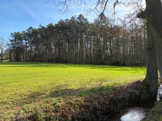 Groot stuk bos gelegen in grotendeels woonparkgebied en een deel in natuurgebied. Het totale perceel bedraagt 6175m². Pscore: D -...
