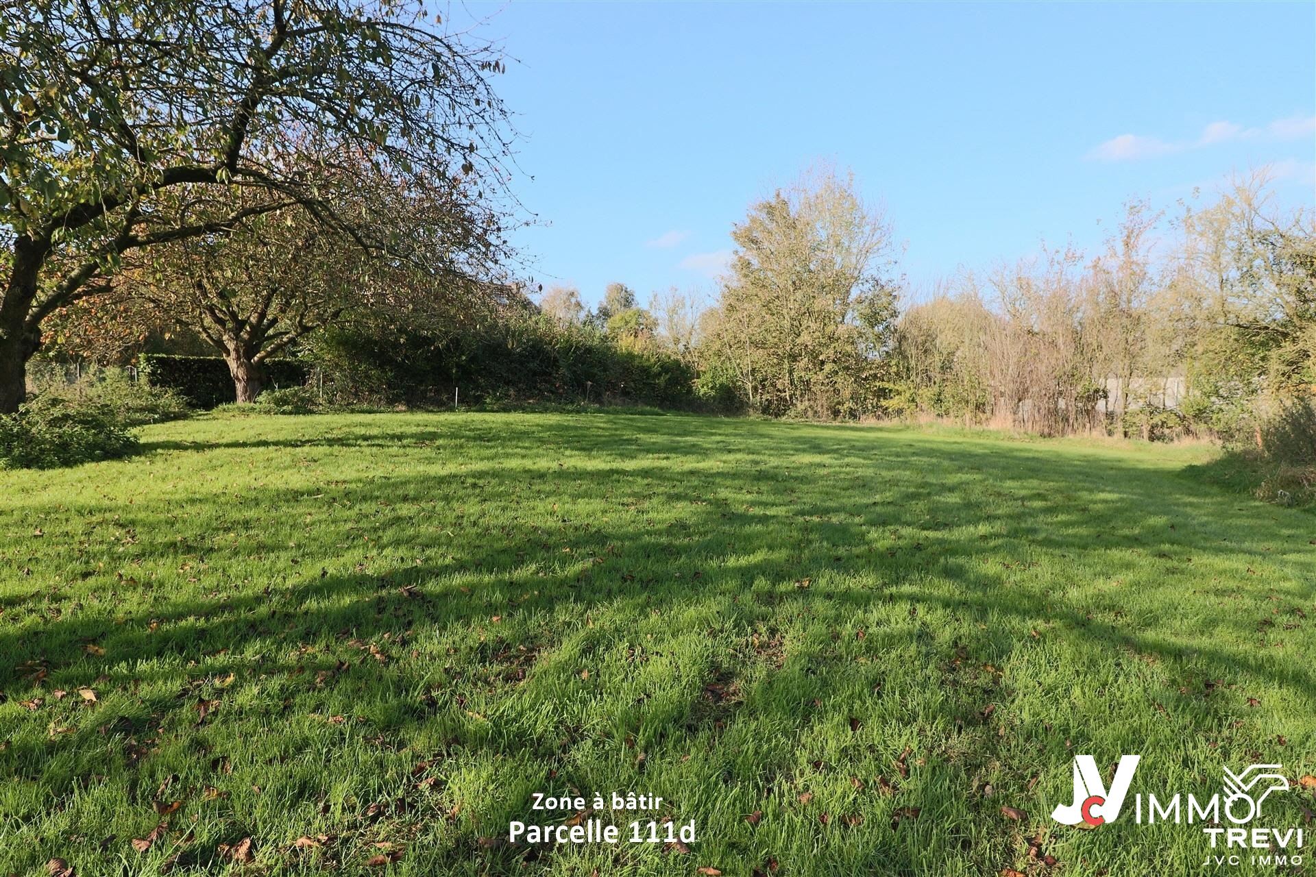 Grond te koop in Orp-Le-Grand - foto 4