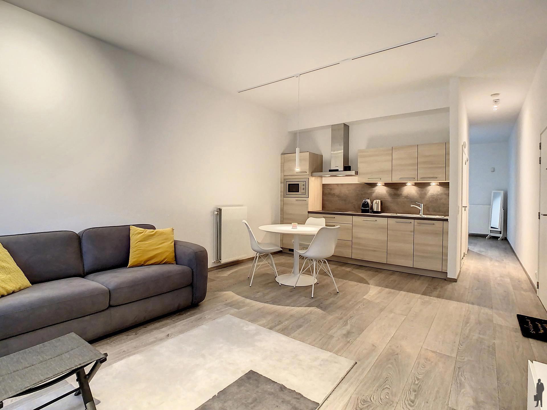 Gemeubeld appartement met één slaapkamer op het Eilandje. - foto 3