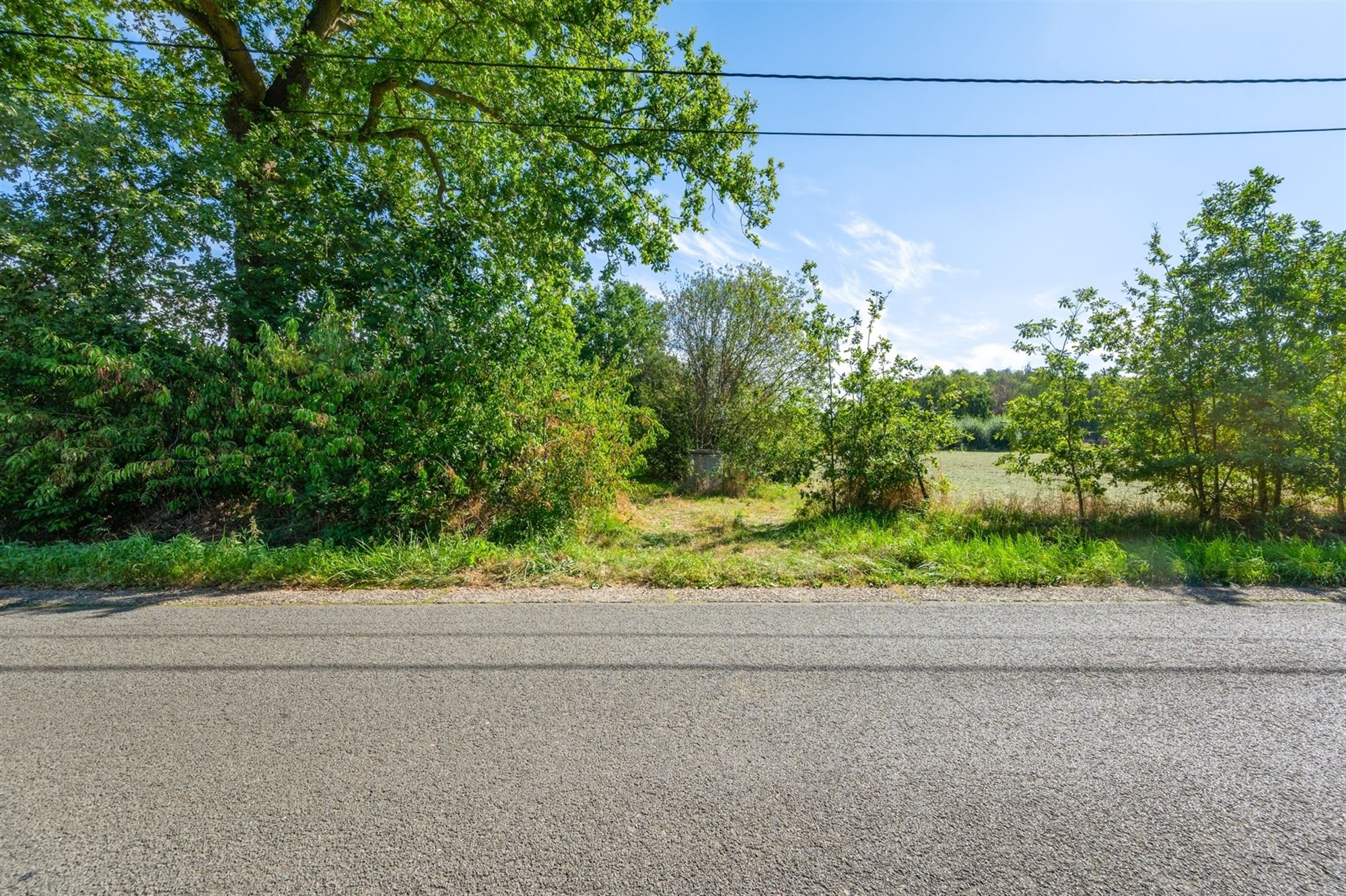 Perceel landbouwgrond te Beerzel - opp. 2547 m² - foto 5