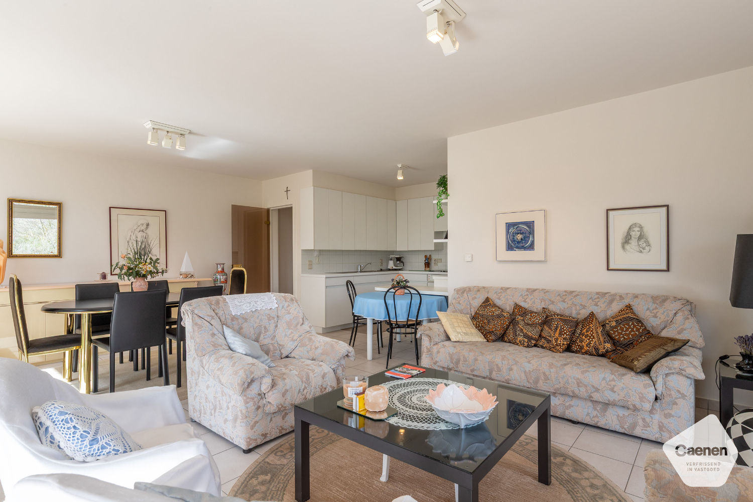 Ruim, zuid-west gericht appartement met zicht op de duinen - foto 3