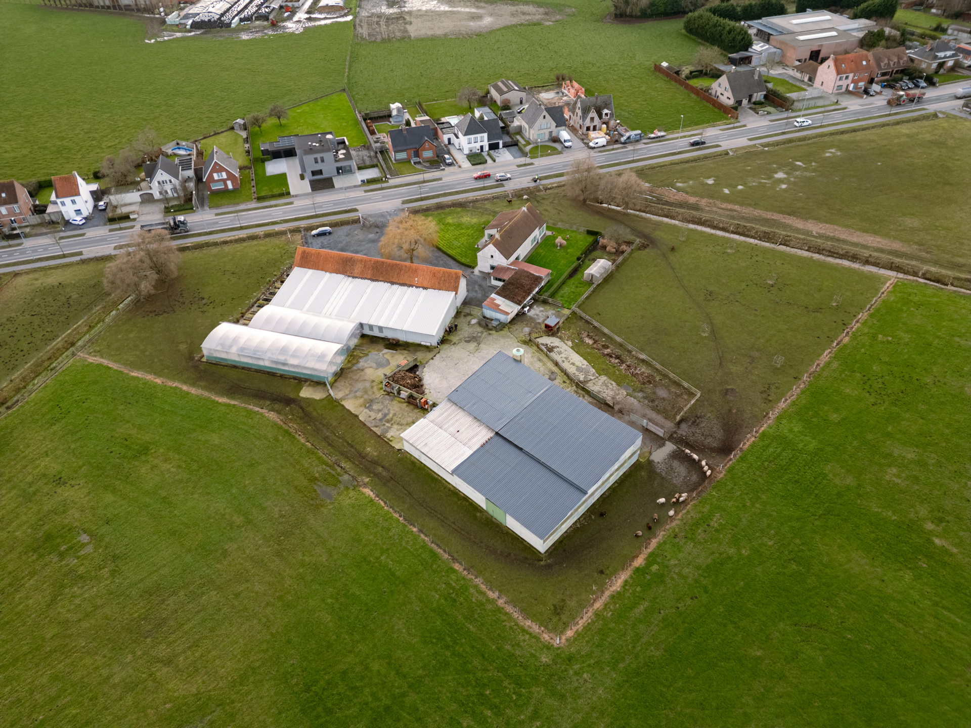 Hoeve met commerciële zichtlocatie in Torhout + weiland  - foto 5