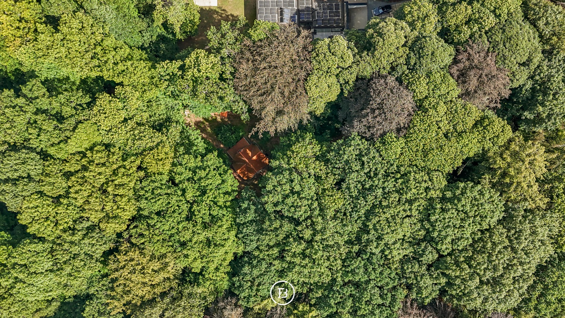 Building in a prime location - photo 5