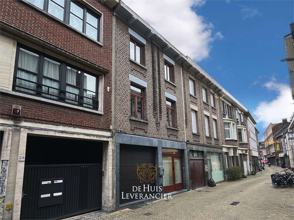 RUIME woning te koop (8 slpks, 2 badk) die ook perfect als tweewoonst kan dienen - foto 3