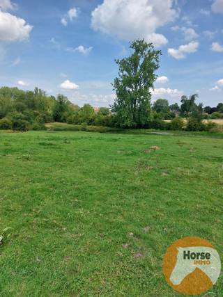 TONGEREN - Weide op +/- 1,5 haDeze weide is zeer rustig gelegen, in een doodlopende straat in Tongeren (Sluizen).Er staat een schuilstal op van +/-...