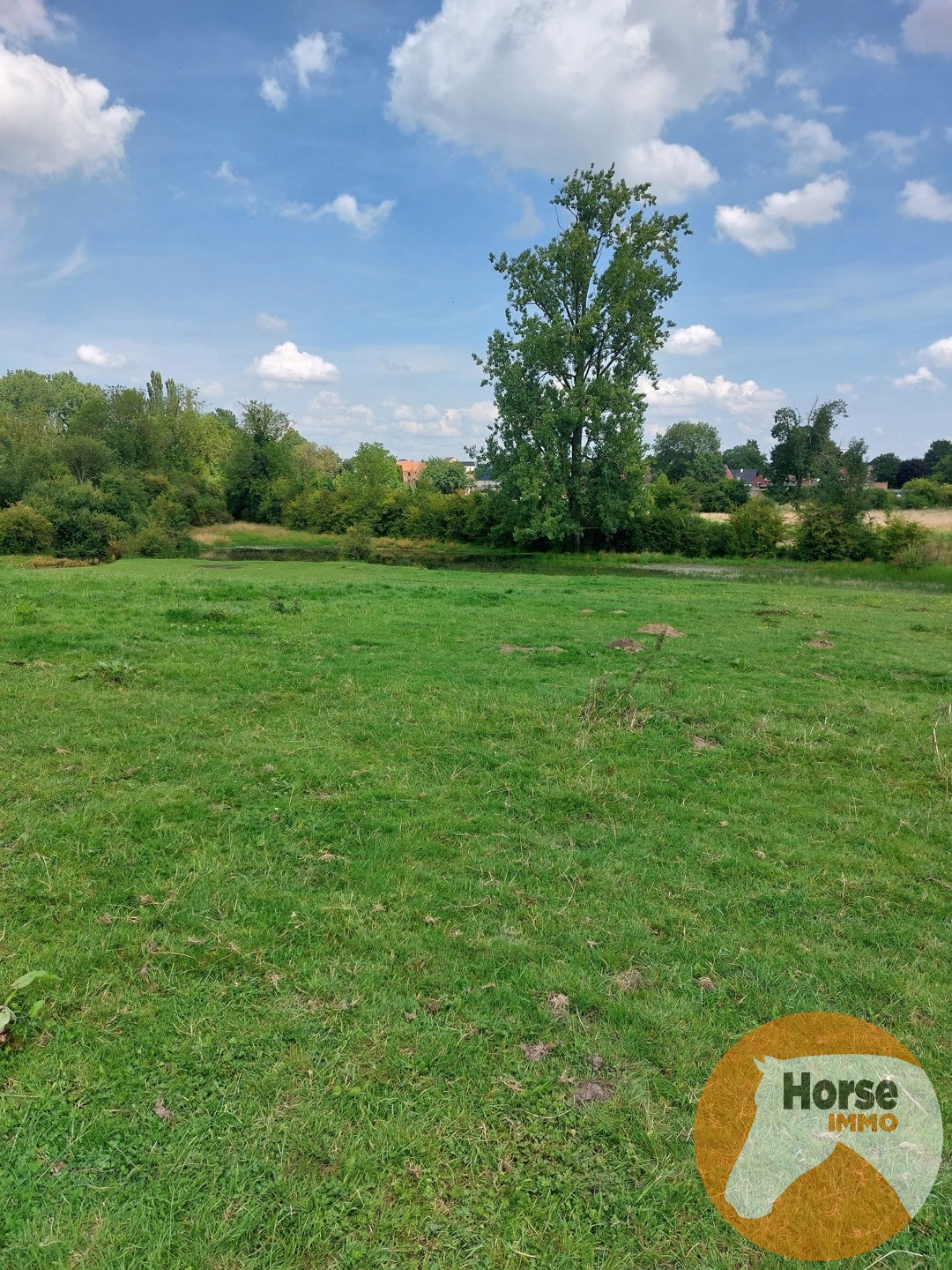 TONGEREN - Weide op +/- 1,5 ha - foto 3