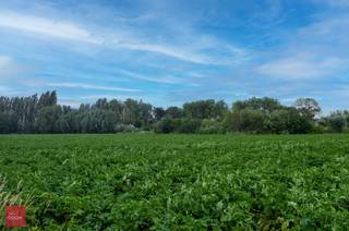 Perceel grond van ca. 3,2ha gelegen in recreatief parkgebied. Geschikt voor dagrecreatie...