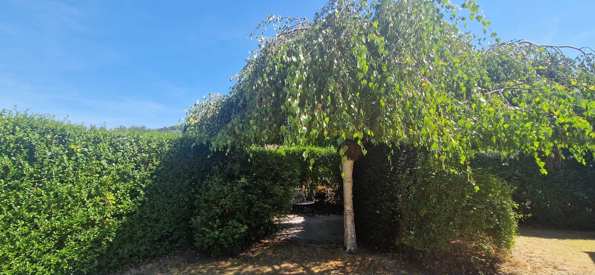 Huis te koop in Keerbergen met 3 slaapkamers - foto 4