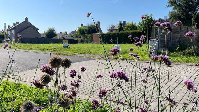 Project for sale in Roeselare