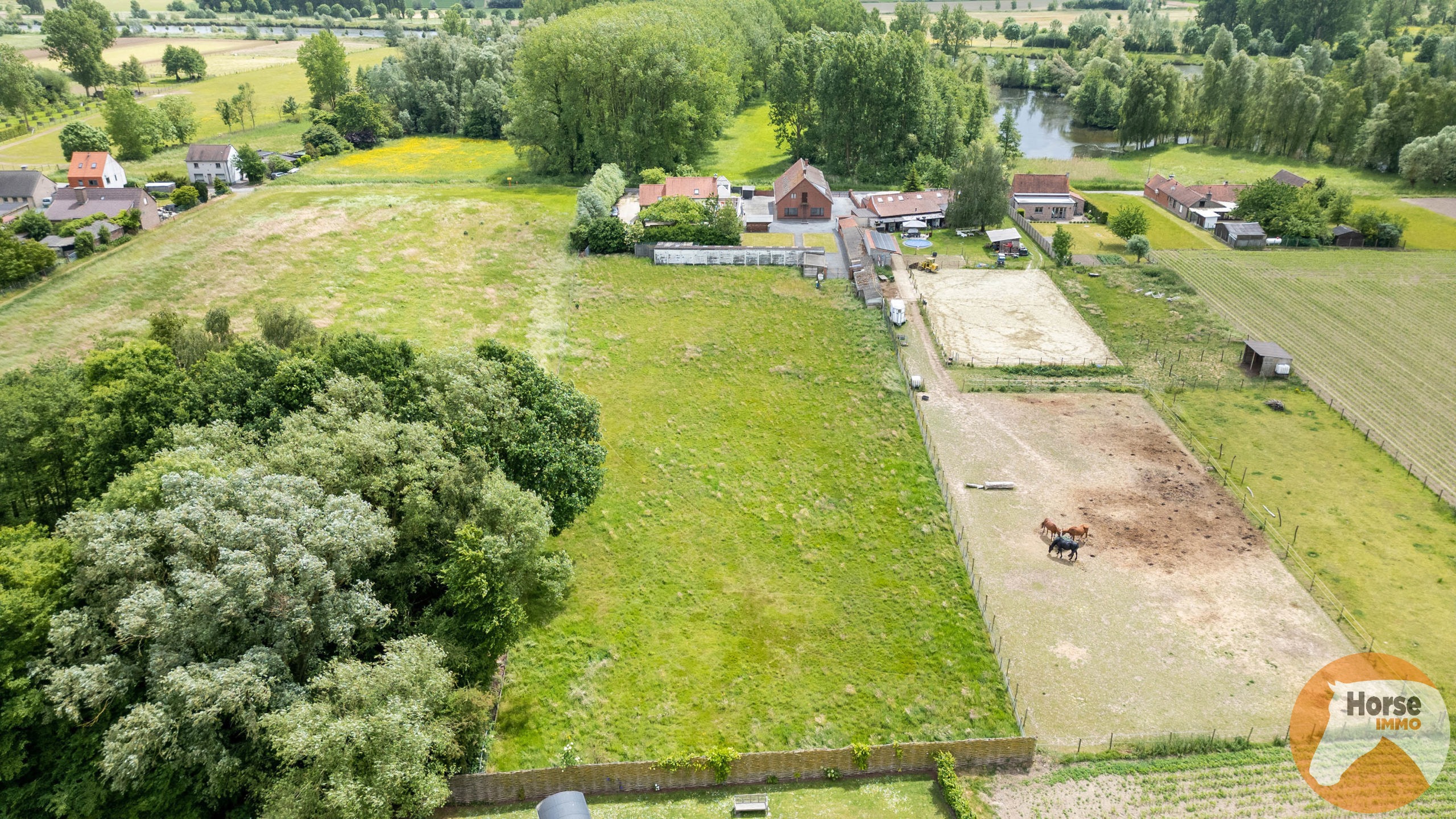 ZINGEM - In het groen gelegen woning op perceel van 60are - foto 3