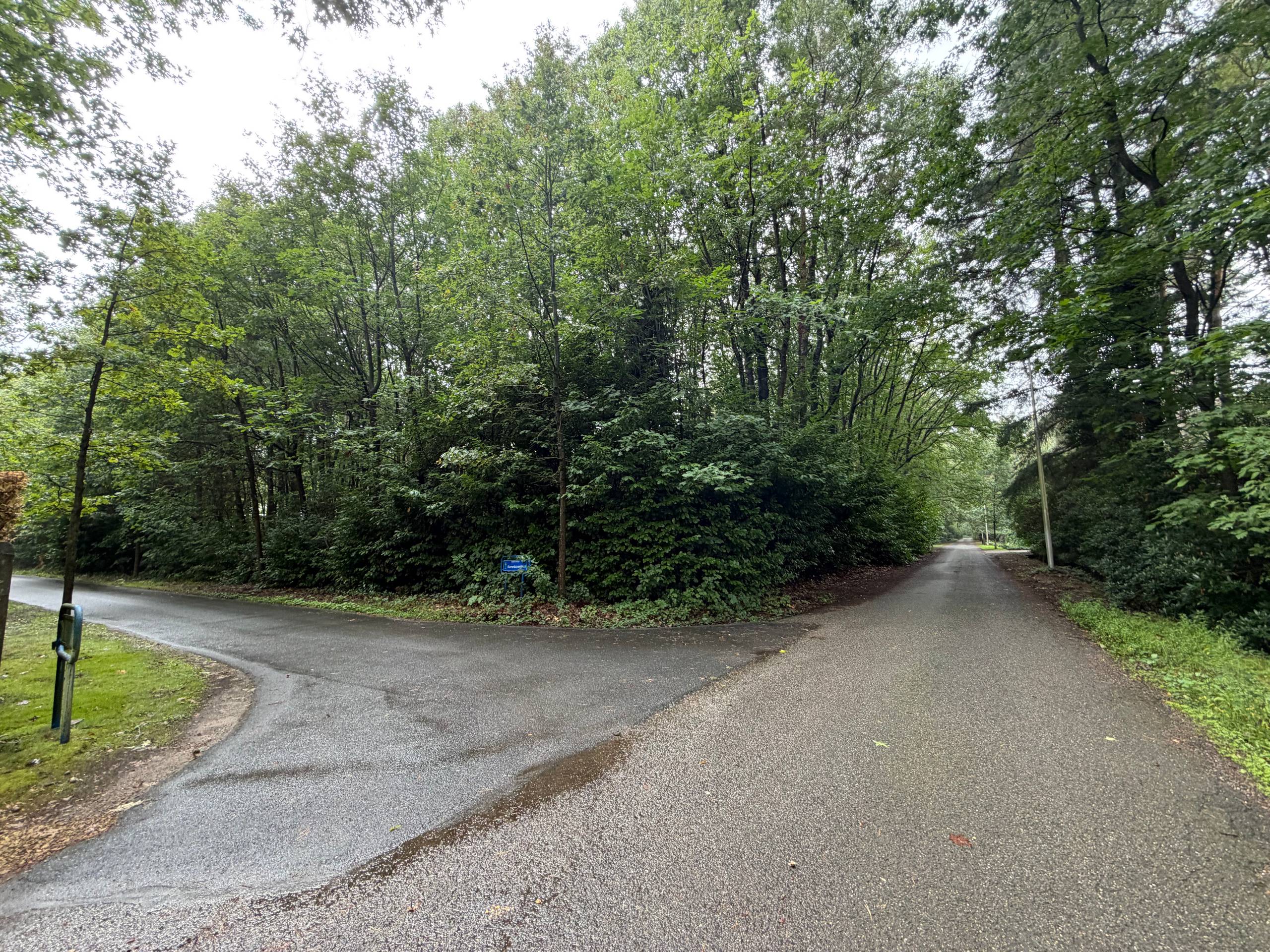 Prachtige bouwgrond 4250M2 met kleine woning erop. Oase van groen , rustig, veel privacy! - foto 4