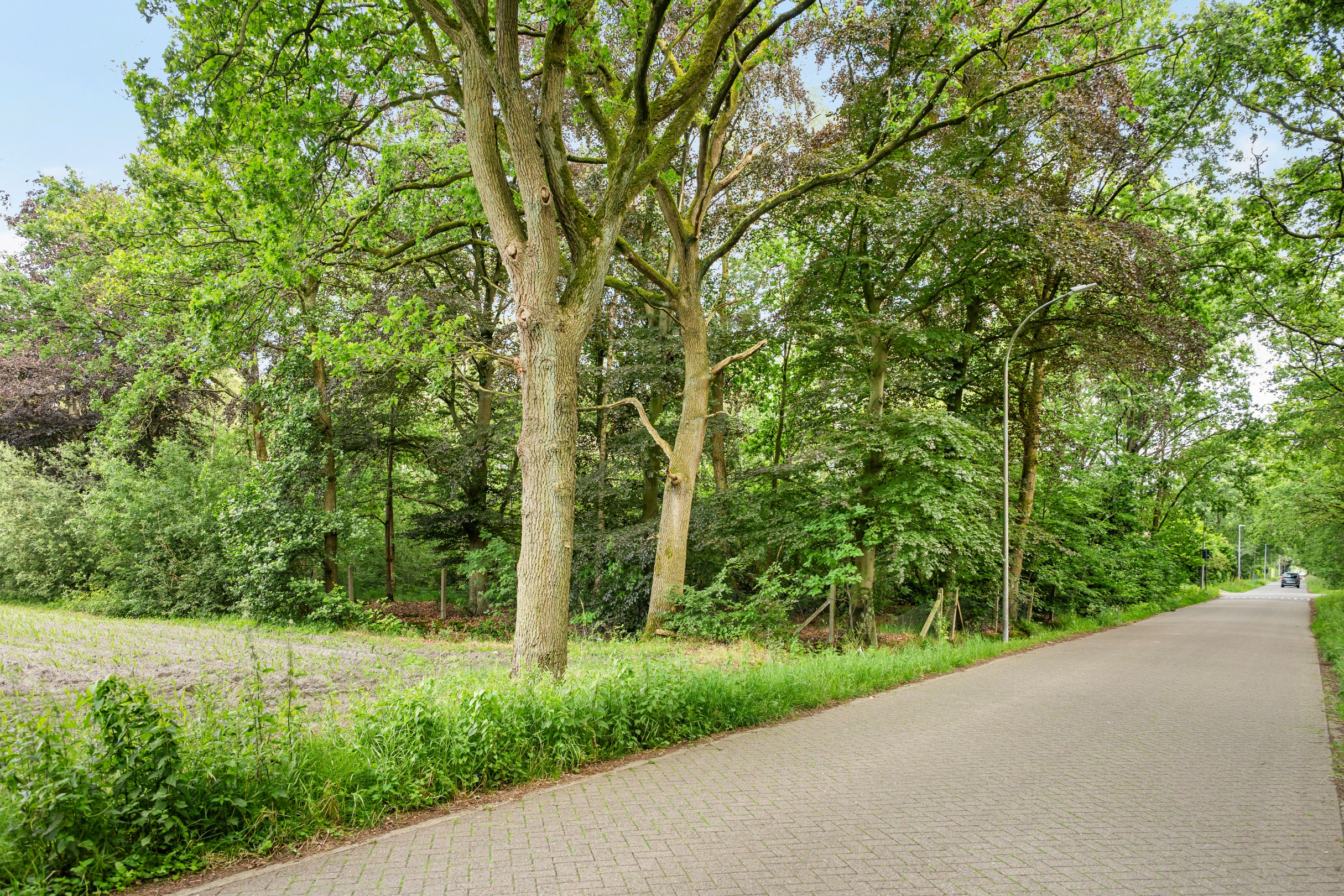 Bouwgrond van 1.991 m² - foto 5