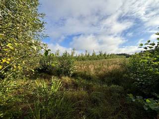 Terrain à vendre à Balen