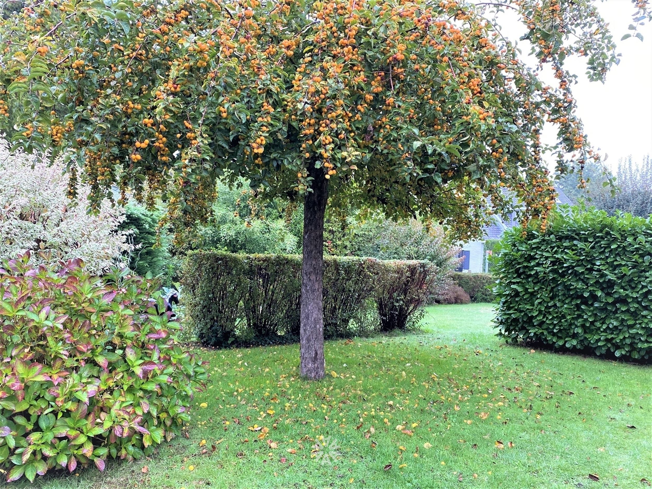 Ruime villa in mooie woonwijk te huur in De Pinte - foto 4