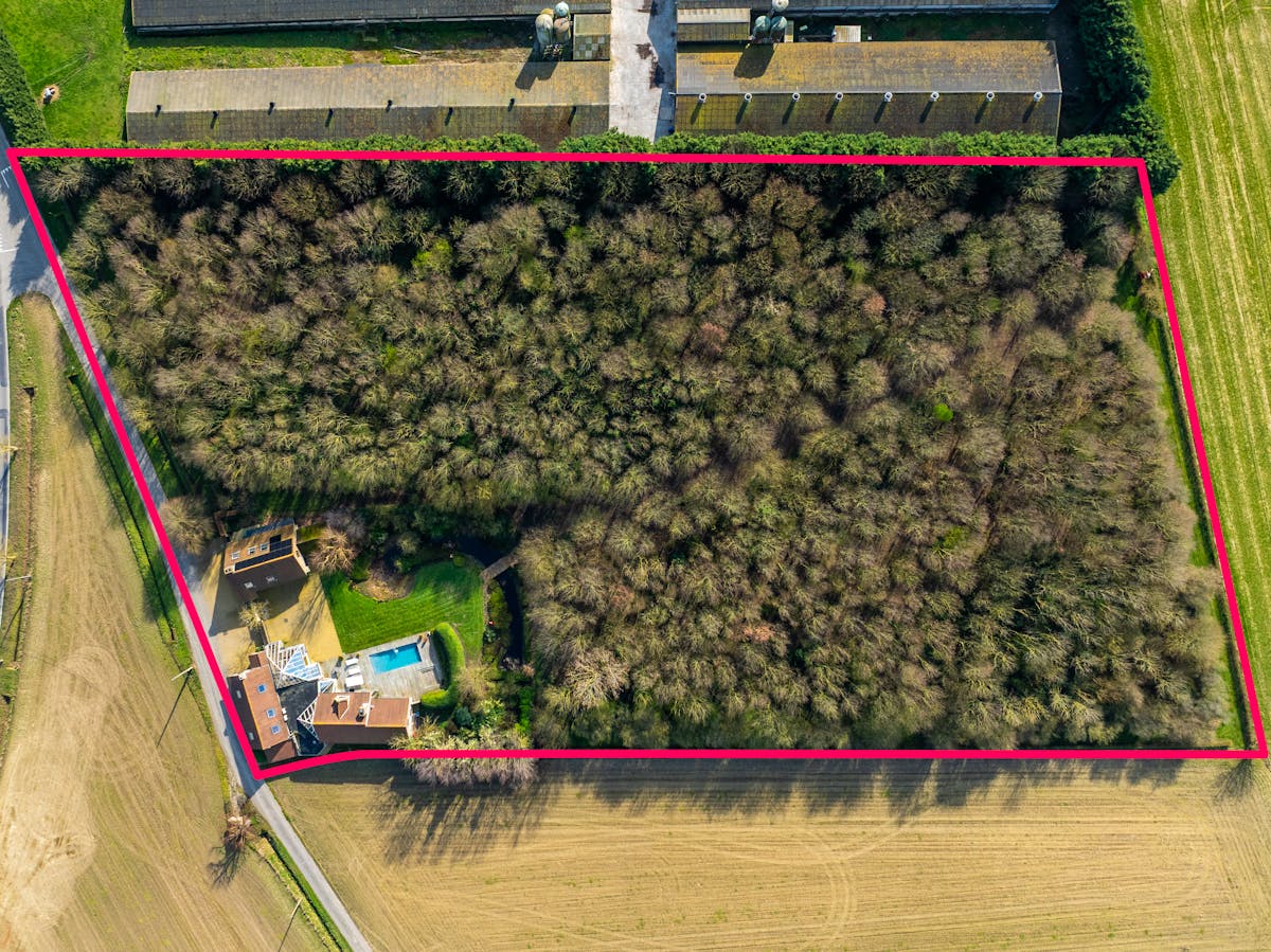 Exclusieve villa met tuin en zwembad op 1,6 ha in Krombeke - foto 3