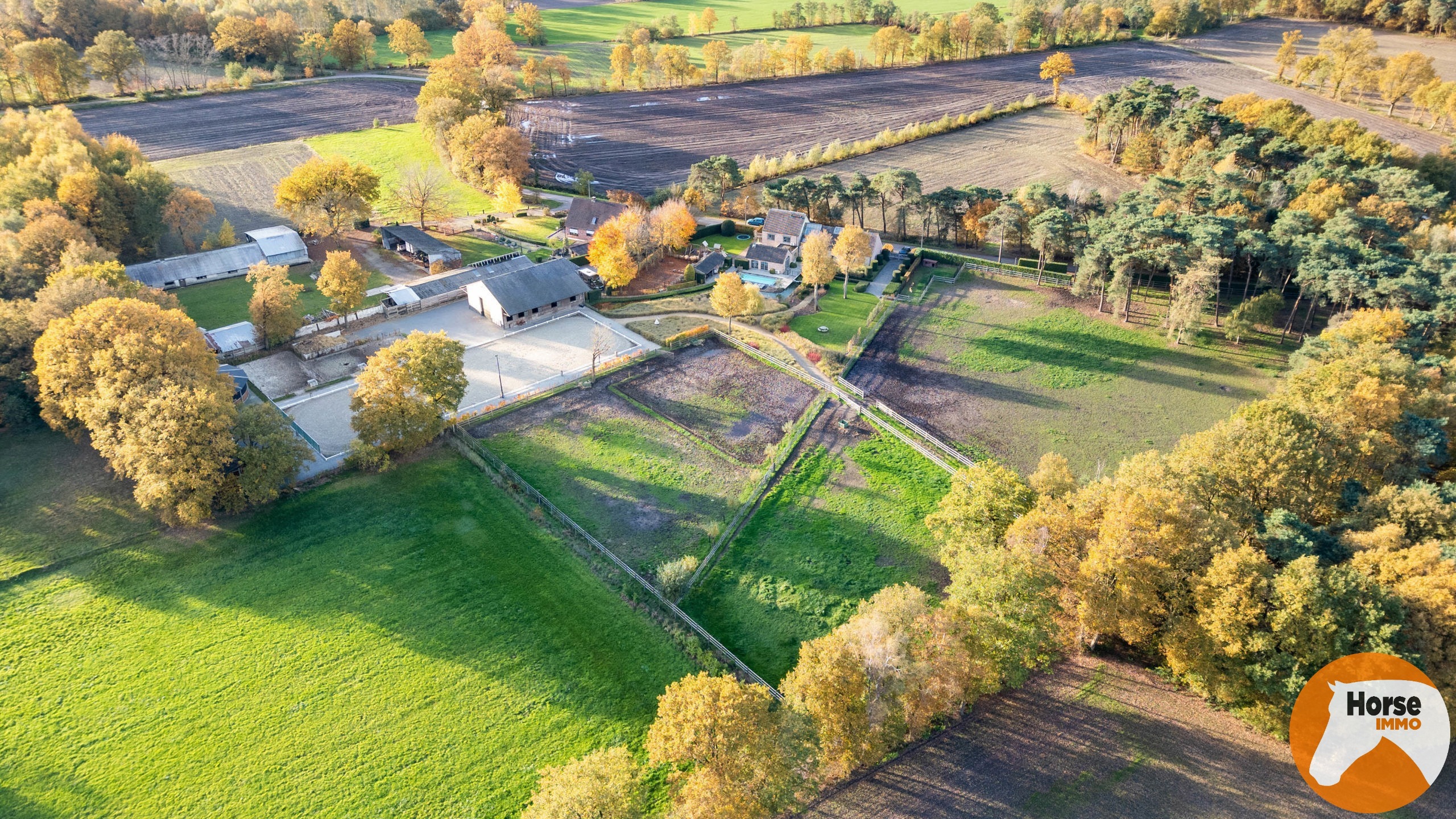 BALEN – Exclusieve eigendom voor paardenliefhebbers - 1,9 Ha - foto 5