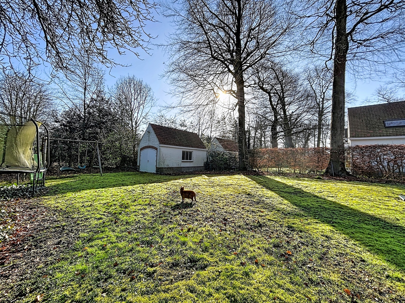 Prachtige woning in residentiële wijk te Destelbergen, op een perceel van 863m²! - foto 2
