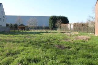 Mooi, ruim en goed georiënteerd perceel bouwgrond zonder bouwverplichting.Het perceel leent zicht tot het bouwen van een ééngezinswoning, hetzij...