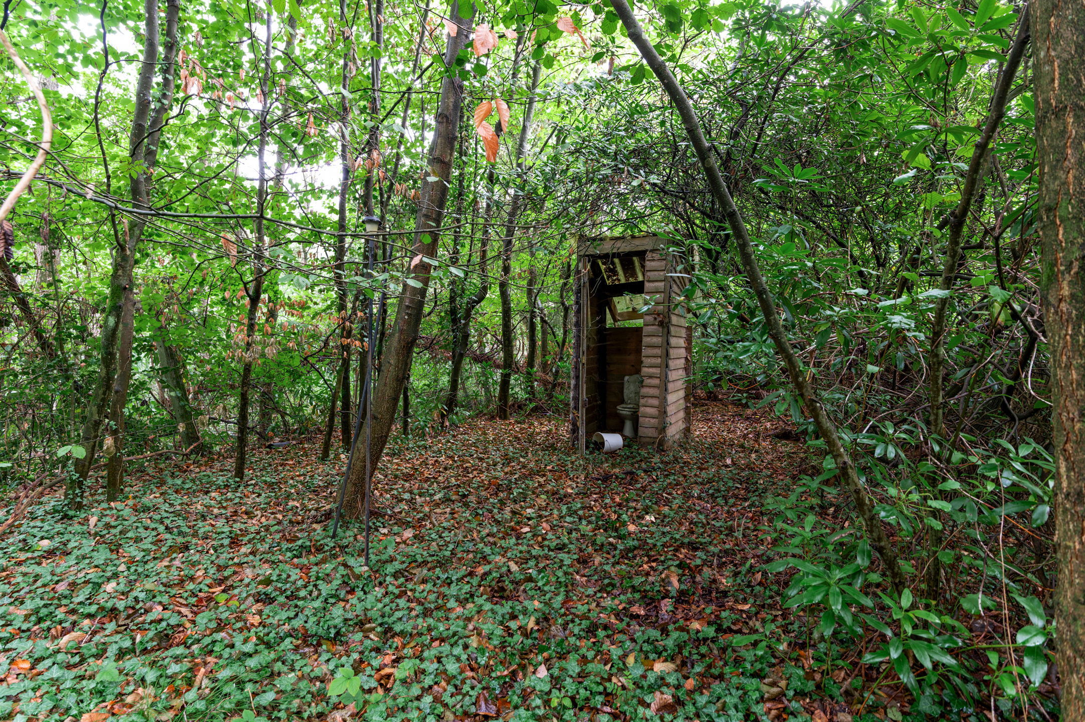 Recreatiegrond van 3.879m² in bosrijk gebied met twee grote vijvers - foto 4