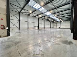 Dit EXCLUSIEVE MAGAZIJN biedt UITSTEKENDE OPSLAGMOGELIJKHEDEN en is STRATEGISCH GELEGEN in de industriezone van Ronse. Dankzij de aanwezigheid...