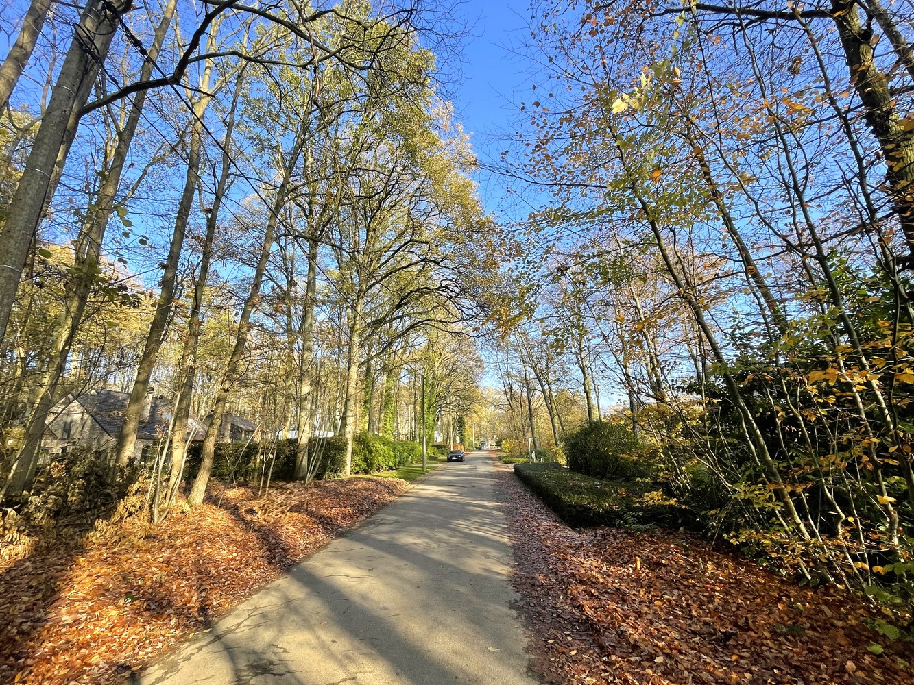 Exclusief perceel bouwgrond te Hoog-Linden - foto 3