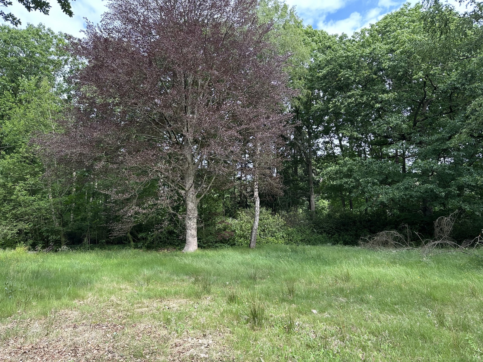 Terrain à vendre à Kapellen - photo 2