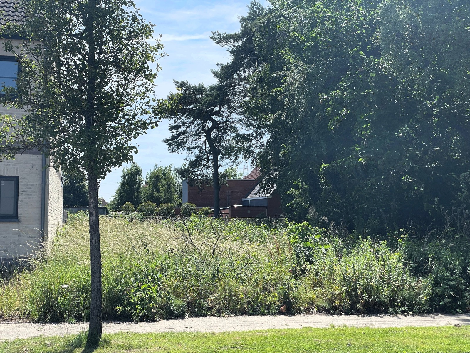 Voor HOB met breedte van 11m, vlakbij rustig dorpscentrum - foto 2