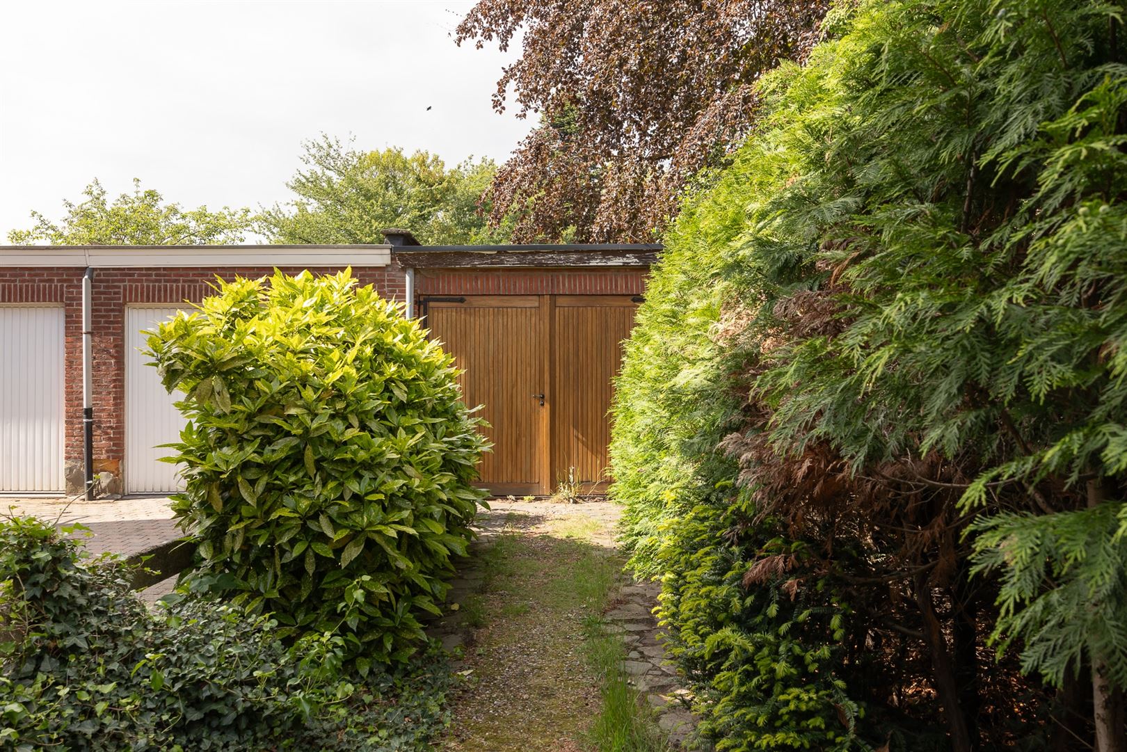 WONING - photo 4