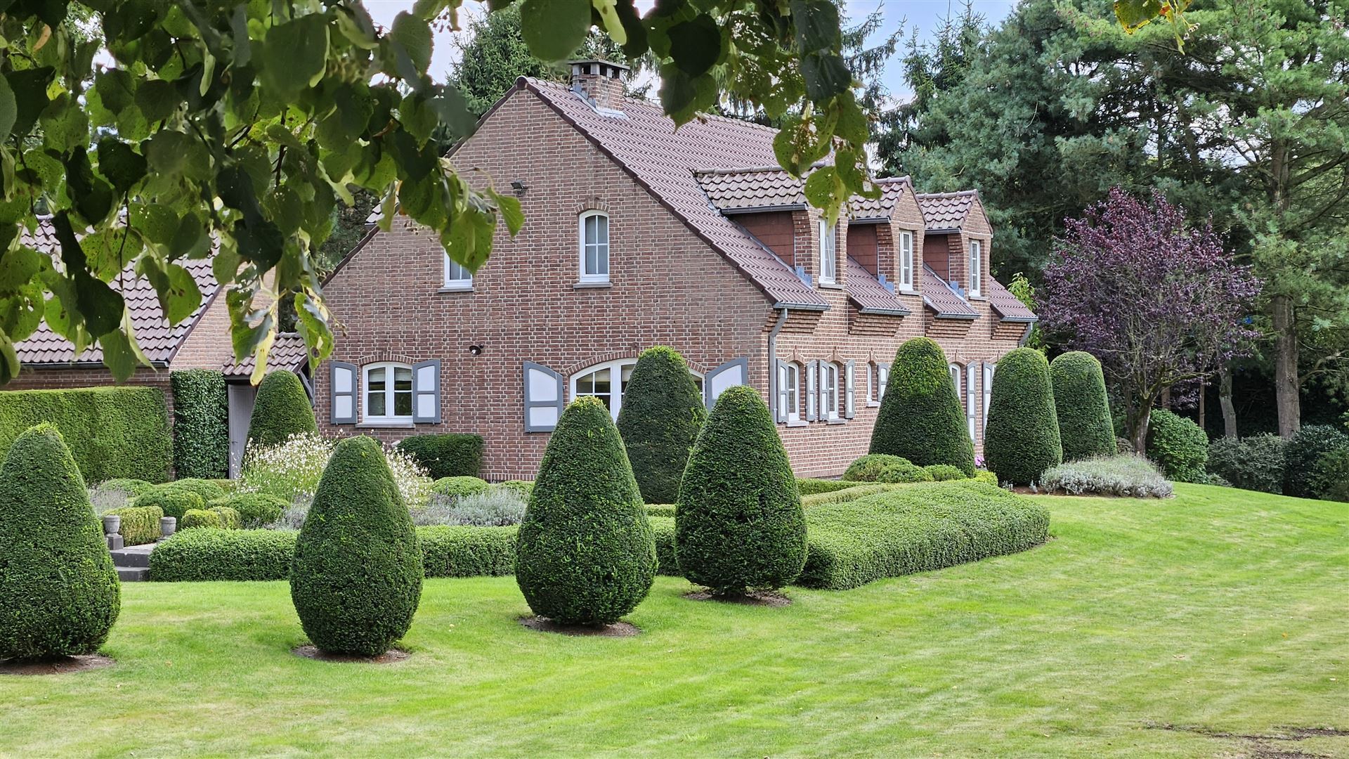 Maison à vendre à Opglabbeek avec 4 chambres - photo 2