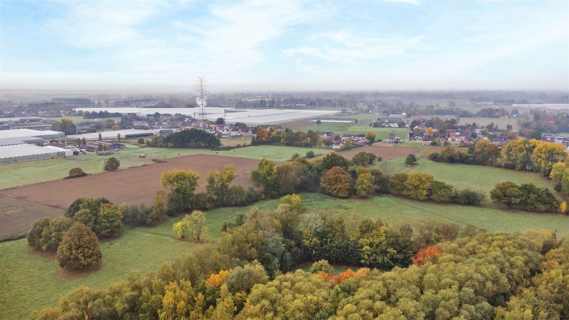 Terrain à vendre à Lint - photo 4