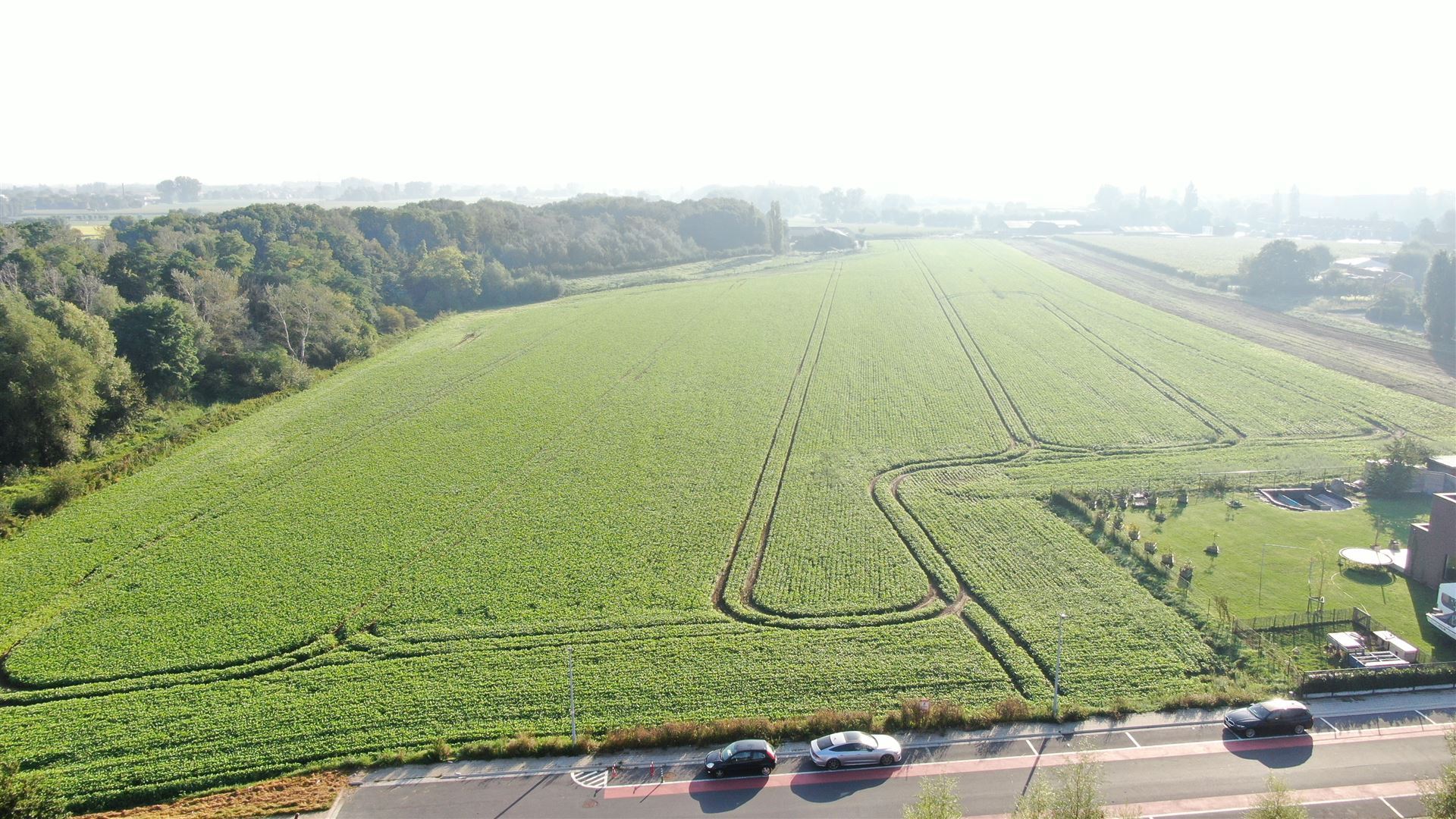 Land for sale in Menen - photo 5