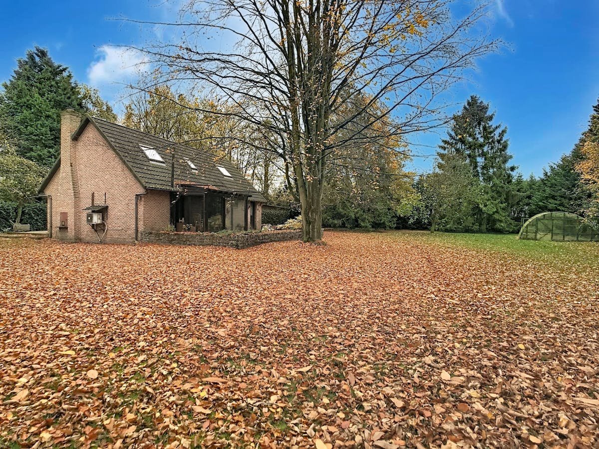 Ruime vakantiewoning op groot open perceel in bosrijk gebied - foto 5