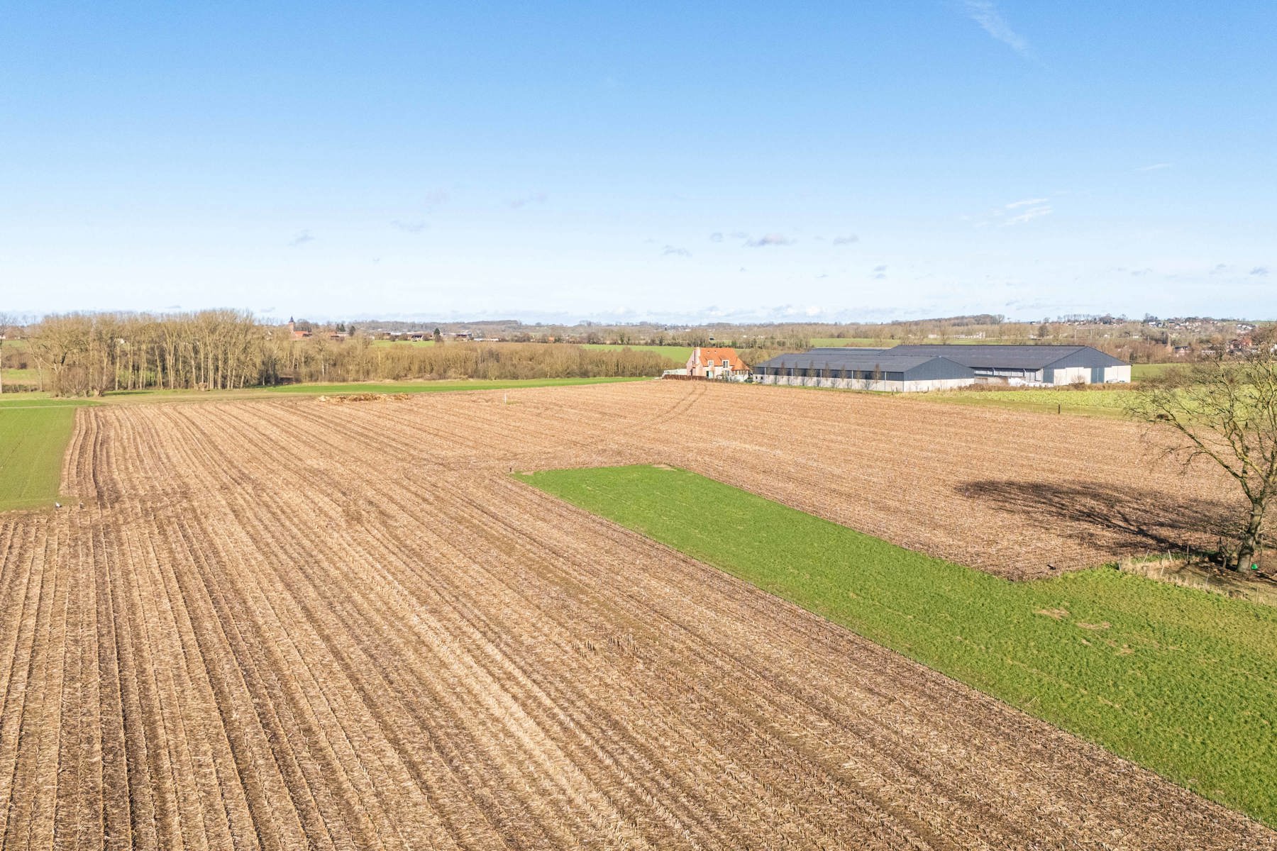 Bouwgrond 18 are voor open bebouwing te Lierde - foto 3