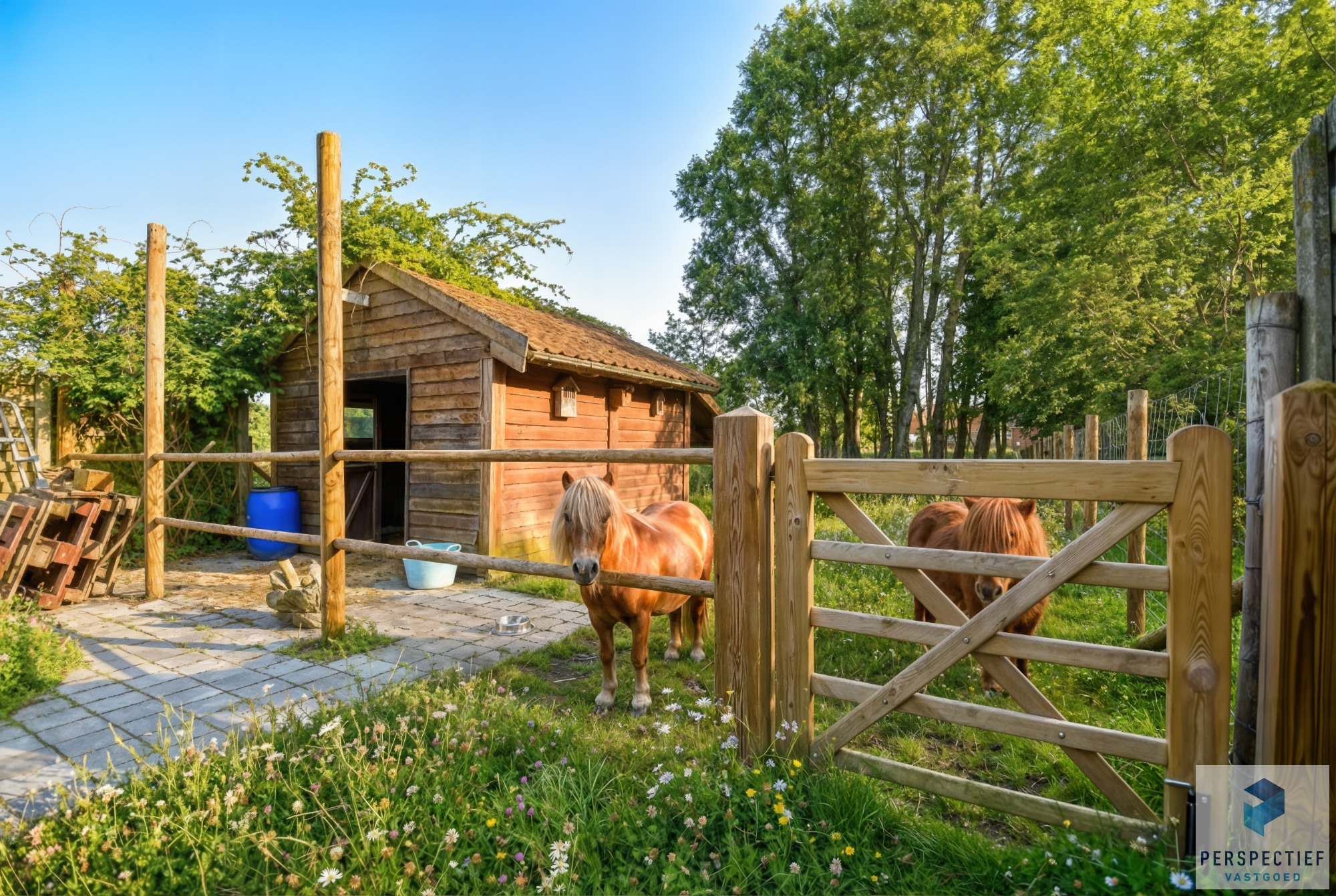 Ruime woning met tuin, weide &amp; bijgebouw gelegen in landelijke omgeving in Oedelem op  1 365 m² - foto 2