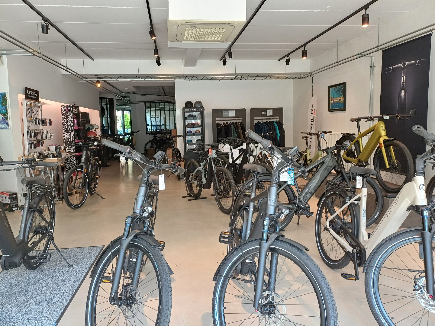 Commercial for rent in Brasschaat - photo 4