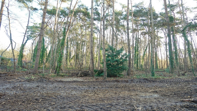 Residentieel gelegen bouwgrond van 31a10ca voor open bebouwing met private toegangsweg nabij golf- en meerdomein - foto 4