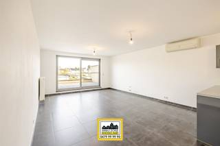 "ABSOLUTE TOPPER" Afspraak ENIGE BEZOEKDAG ENKEL telefonisch via Elias Le Juste op 0487/ 33. 10. 10. Meer info via Facebook "Remue Randy" - LIKE...