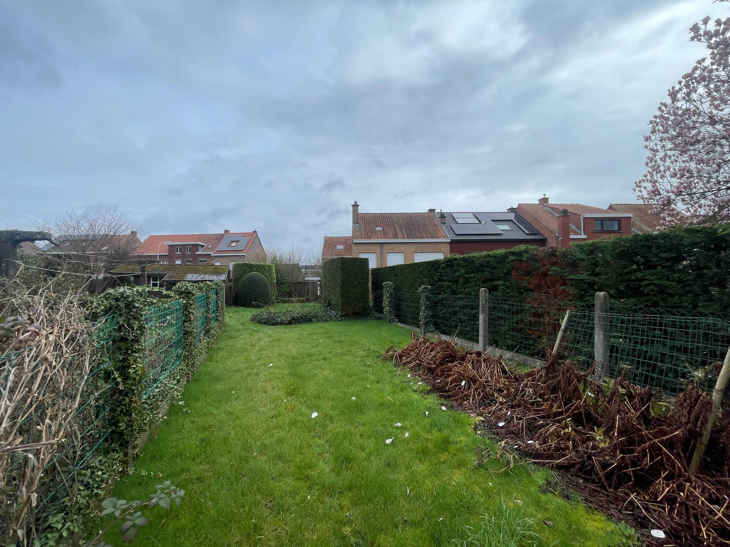 Land for sale in Wervik - photo 3