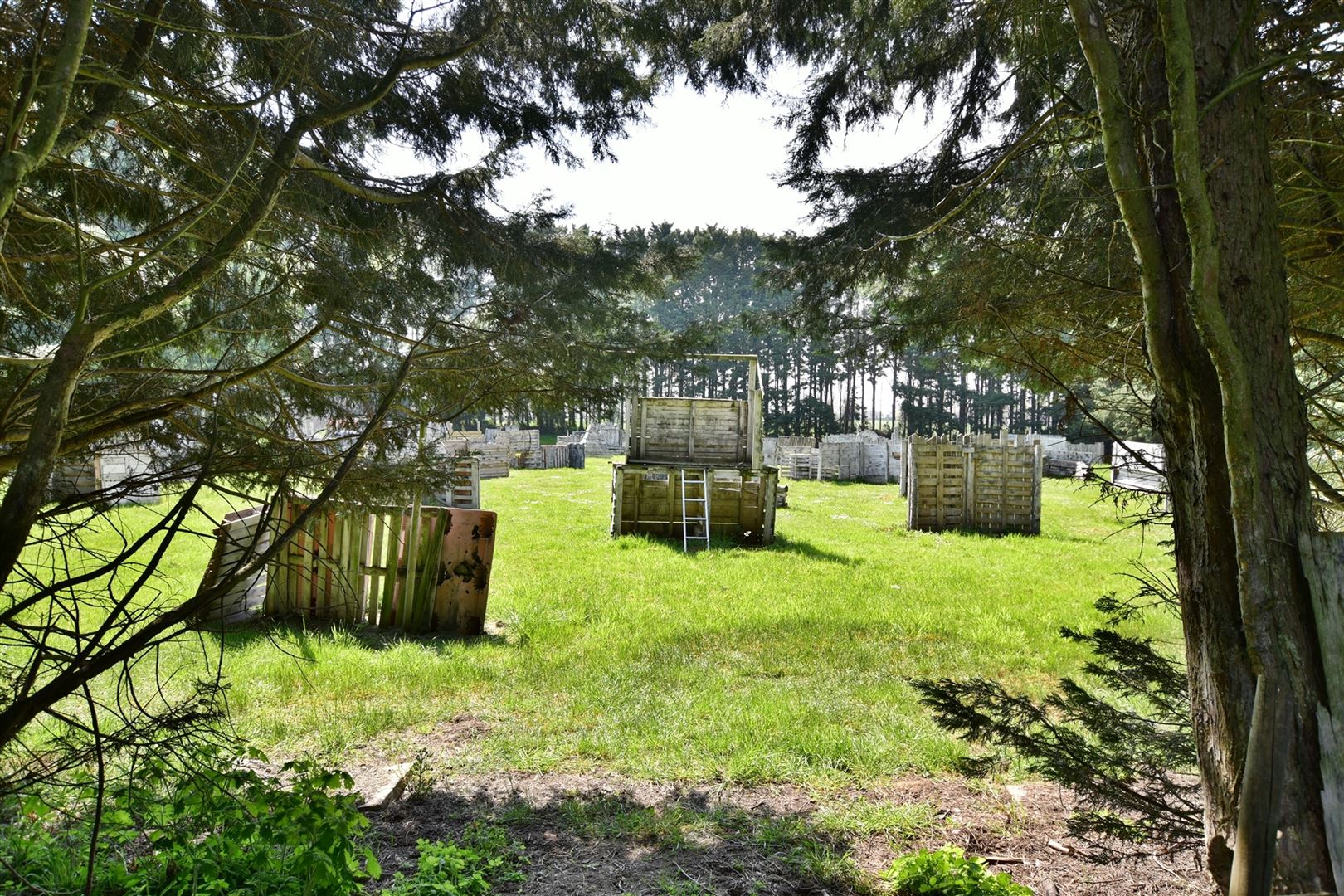 Het perceel is gelegen in de Molendreef te Geraardsbergen - foto 3