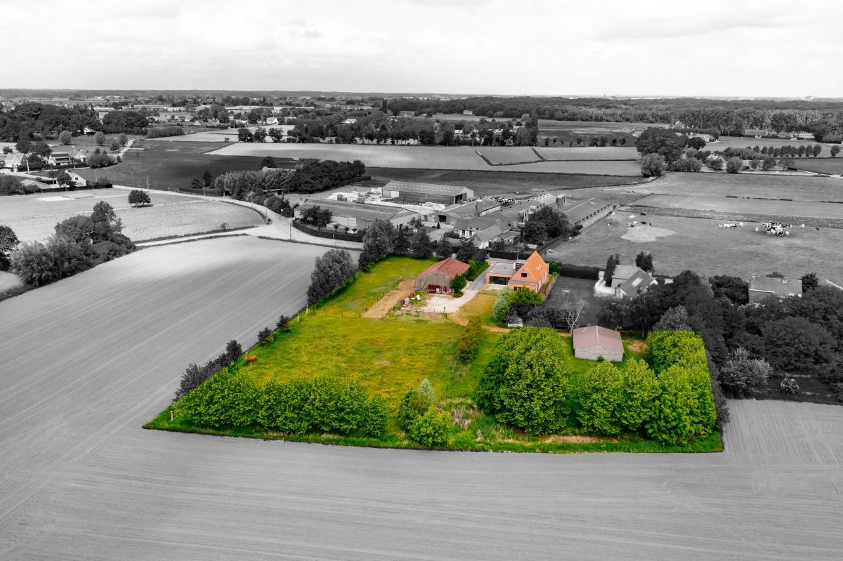 Hoeve voor kleinschalige landbouw of landbouwverbreding te koop te Lotenhulle. - foto 4