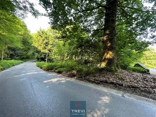 Grond te koop in 's-Gravenbrakel