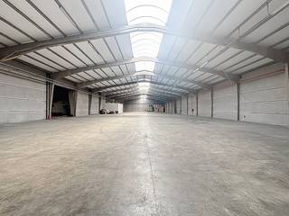 Magazijn van ca. 3.000 m² te huur regio Wielsbeke. Het magazijn beschikt over een sectionale poort en een gedeelde laadkade.Er zijn...