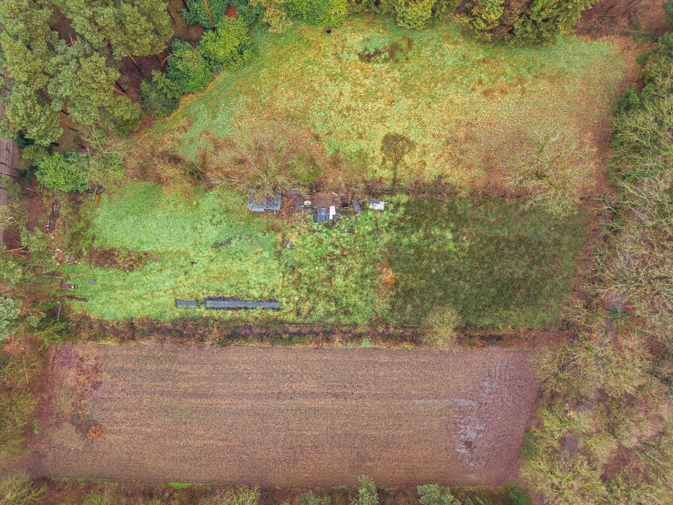 Rustig gelegen natuurperceel van 3.171 m² langs de Belsebaan in Balen - foto 3