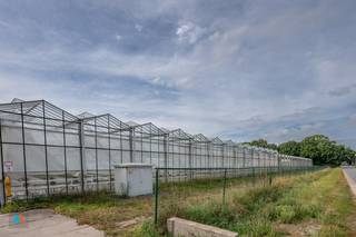 Commercial for rent in Hoogstraten