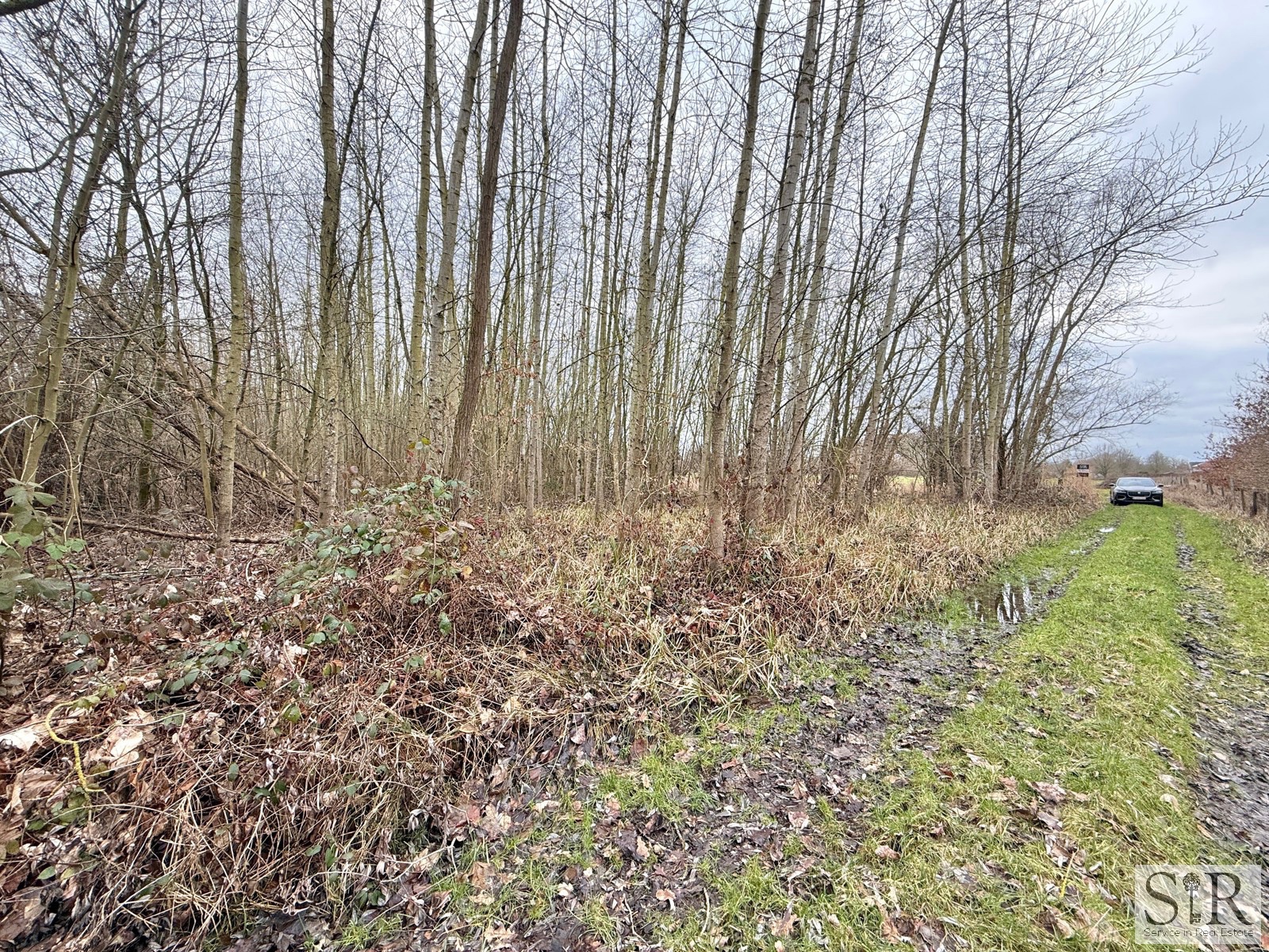 Terrain à vendre à Zemst - photo 3