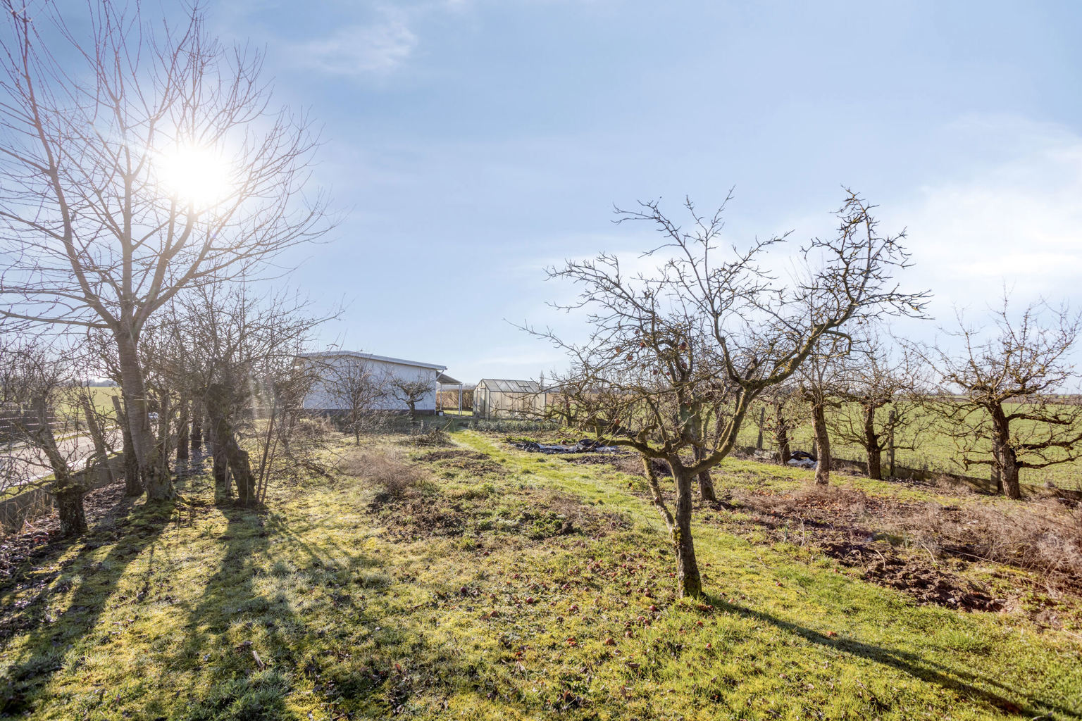 Uniek gelegen bungalow - ideaal renovatieproject (6% btw ) - foto 4