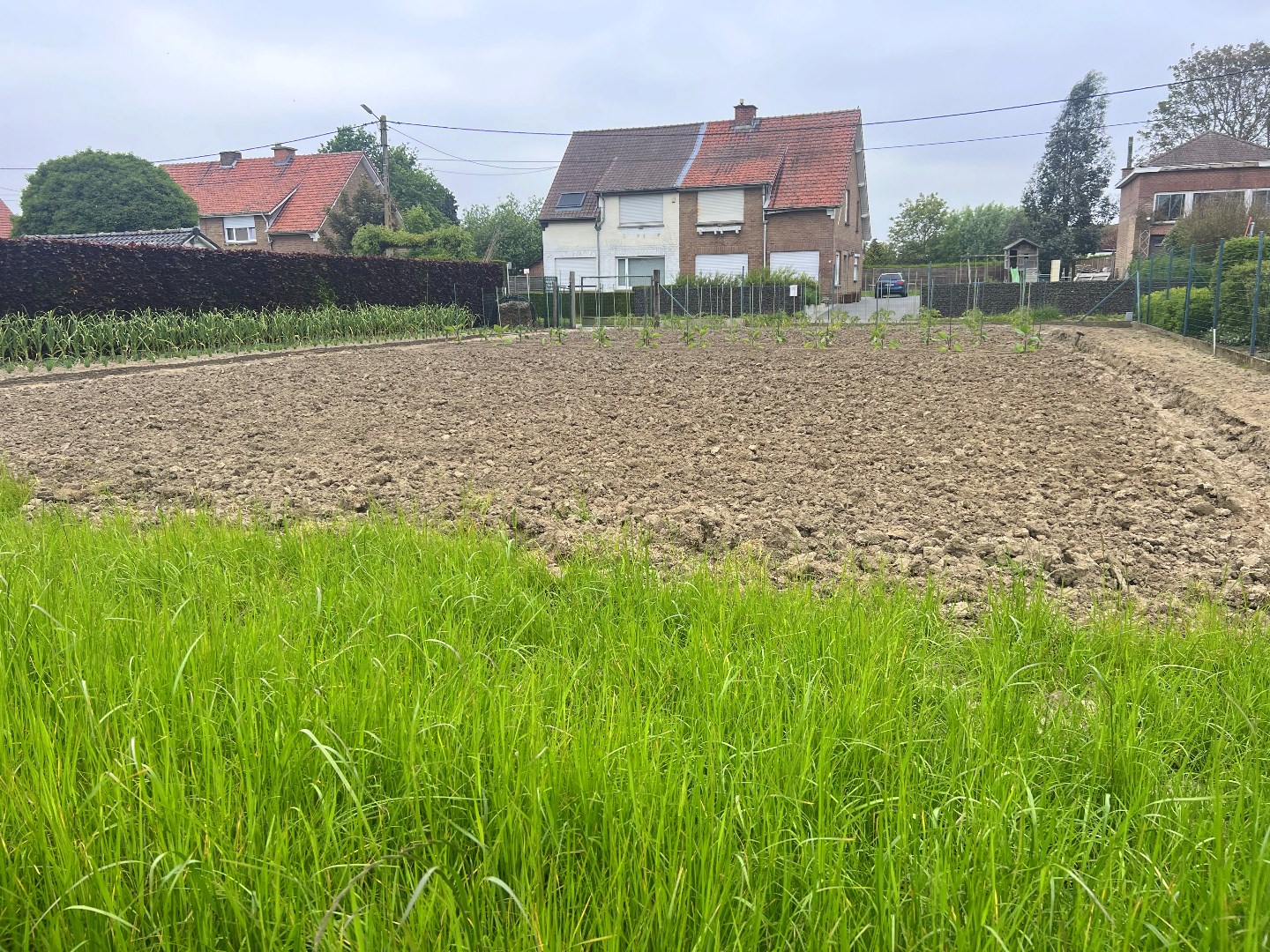 Ruim perceel bouwgrond te koop in Outrijve van 756m² en geschikt voor open bebouwing - foto 4