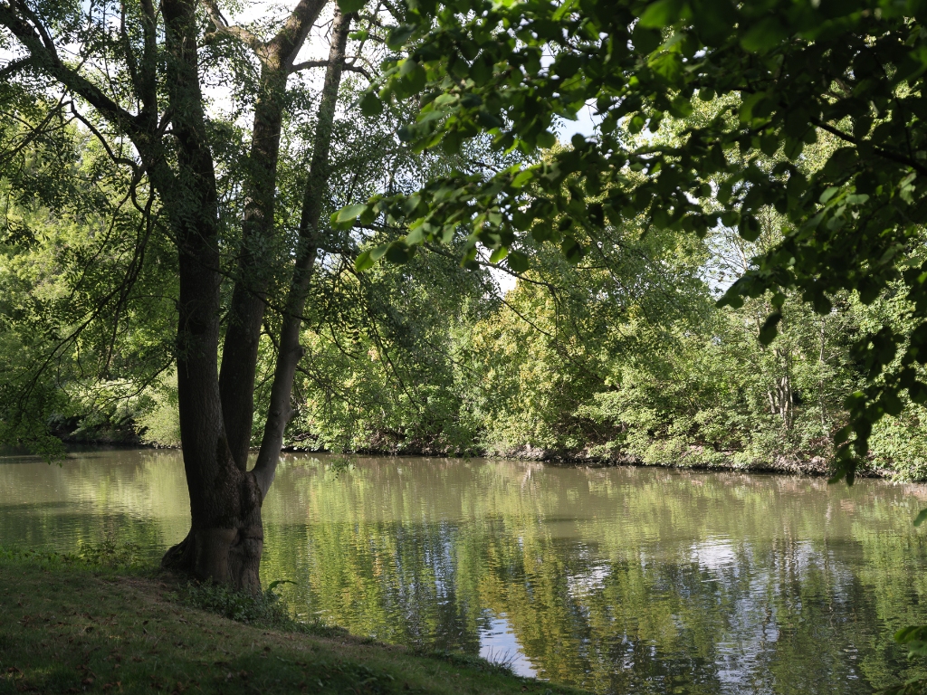 Vrijstaande villa (te renoveren) op slechts 50 meter van de Leie - foto 5